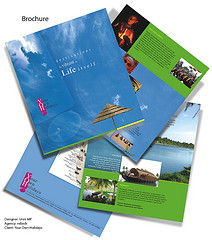 brochures